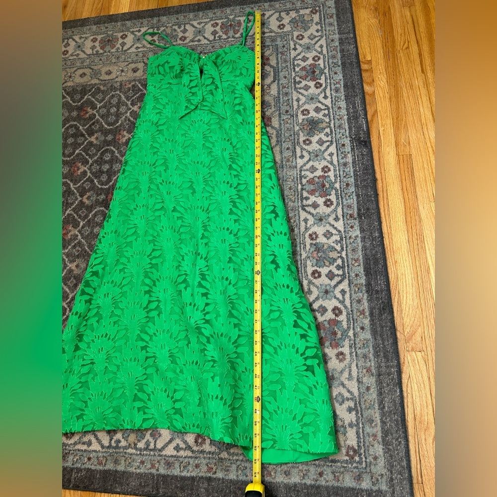 Lilly Pulitzer Sarahlynne Maxi Dress - Picture 10 of 10